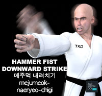 Hammer Fist Downward Strike ( 메주먹 내려치기 mejumeok-naeryeo-chigi )