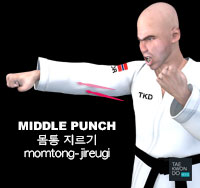 Middle Punch ( 몸통 지르기 momtong-jireugi )