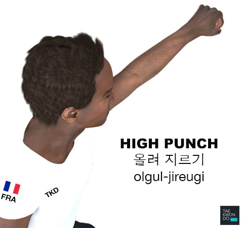 High Punch ( 올려 지르기 olgul-jireugi )