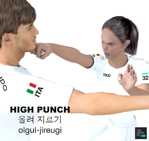 High Punch ( 올려 지르기 olgul-jireugi )