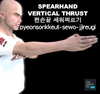 Spearhand Vertical Thrust ( 편손끝 세워찌르기 pyeonsonkkeut-sewo-jjireugi )