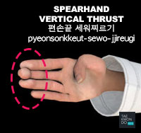 Spearhand Vertical Thrust ( 편손끝 세워찌르기 pyeonsonkkeut-sewo-jjireugi )