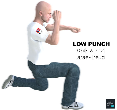 Low Punch ( 아래 지르기 arae-jireugi )