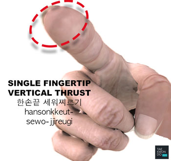 Single Fingertip Vertical Thrust ( 한손끝 세워찌르기 hansonkkeut-sewo-jjireugi )