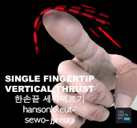 Single Fingertip Vertical Thrust ( 한손끝 세워찌르기 hansonkkeut-sewo-jjireugi )