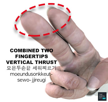 Combined Two Fingertips Vertical Thrust ( 모은두손끝 세워찌르기 moeundusonkkeut-sewo-jjireugi )