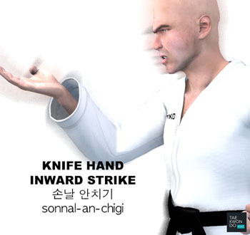 Knife Hand Inward Strike ( 손날 안치기 sonnal-an-chigi )