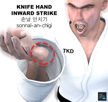 Knife Hand Inward Strike ( 손날 안치기 sonnal-an-chigi )