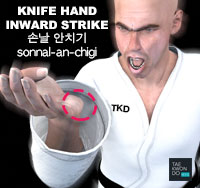 Knife Hand Inward Strike ( 손날 안치기 sonnal-an-chigi )