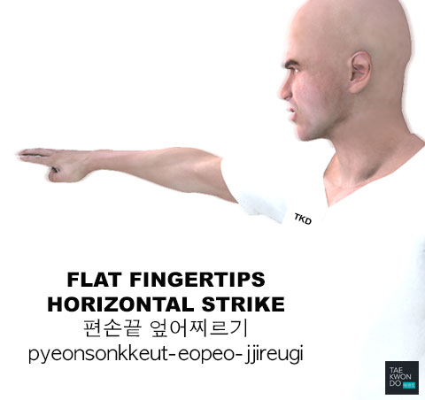 Flat Fingertips Horizontal Strike ( 편손끝 엎어찌르기 pyeonsonkkeut-eopeo-jjireugi )