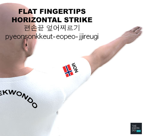 Flat Fingertips Horizontal Strike ( 편손끝 엎어찌르기 pyeonsonkkeut-eopeo-jjireugi )