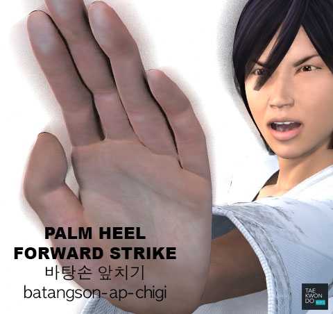 Palm Heel Forward Strike ( 바탕손 앞치기 batangson-ap-chigi )