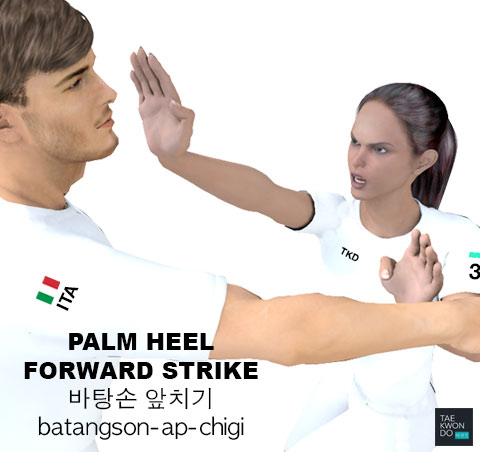 Palm Heel Forward Strike ( 바탕손 앞치기 batangson-ap-chigi )