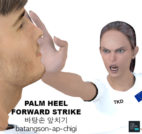 Palm Heel Forward Strike ( 바탕손 앞치기 batangson-ap-chigi )