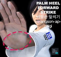 Palm Heel Forward Strike ( 바탕손 앞치기 batangson-ap-chigi )