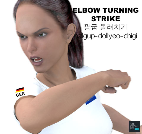 Elbow Turning Strike ( 팔굽 돌려치기 palgup-dollyeo-chigi )