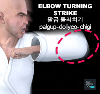 Elbow Turning Strike ( 팔굽 돌려치기 palgup-dollyeo-chigi )