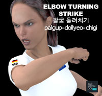 Elbow Turning Strike ( 팔굽 돌려치기 palgup-dollyeo-chigi )