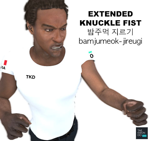 Extended Knuckle Fist ( 밤주먹 지르기 bamjumeok-jireugi )