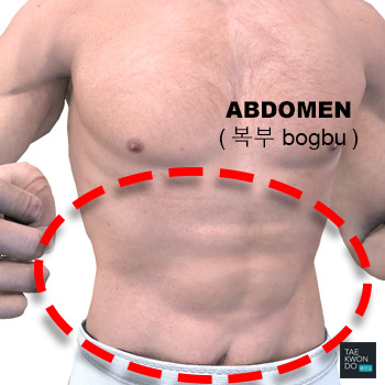 Abdomen ( 복부 bogbu )