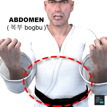 Abdomen ( 복부 bogbu )