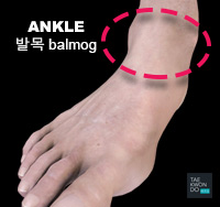 Ankle ( 발목 balmog )