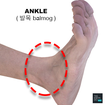 Ankle ( 발목 balmog )