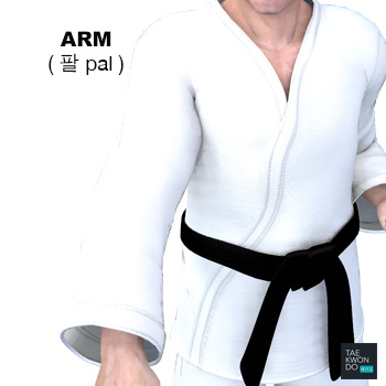 Arm ( 팔 pal )