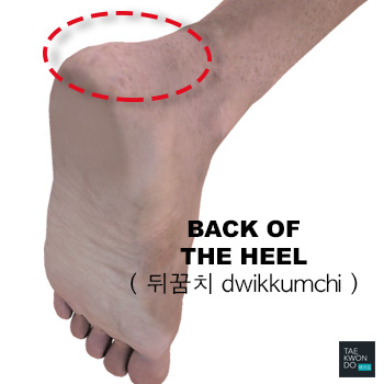 Back of the Heel ( 뒤꿈치 dwikkumchi )