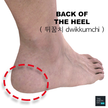 Back of the Heel ( 뒤꿈치 dwikkumchi )