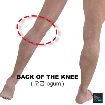 Back of the Knee ( 오금 ogum )