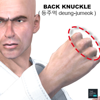 Back Knuckle ( 등주먹 deung-jumeok )