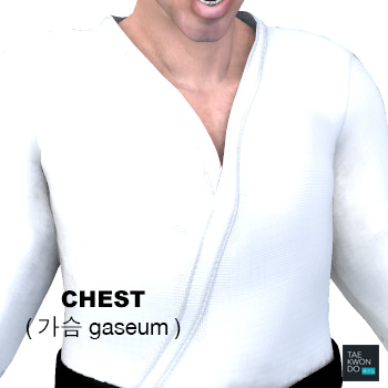 Chest ( 가슴 gaseum )