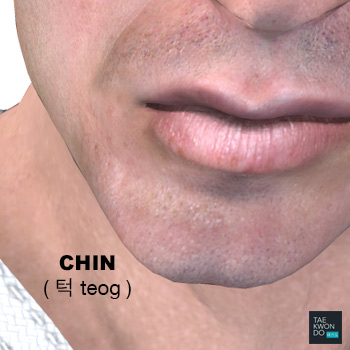 Chin ( 턱 teog )