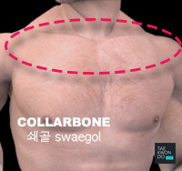 Collarbone ( 쇄골 swaegol )