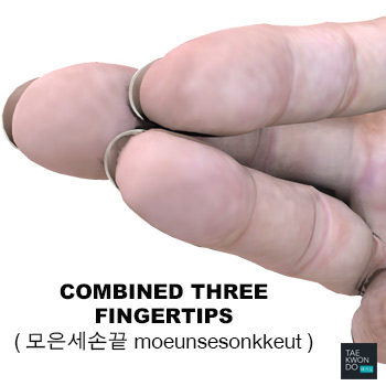 Combined Three Fingertips ( 모은세손끝 moeunsesonkkeut )