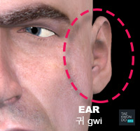 Ear ( 귀 gwi )