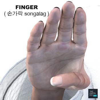 Finger ( 손가락 songalag )