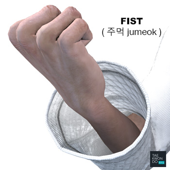 Fist (주먹 jumeok)