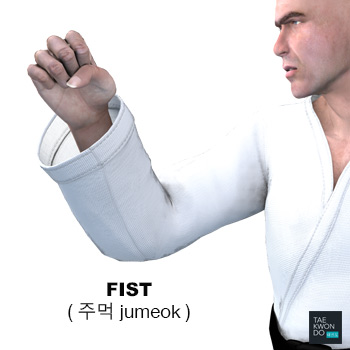 Fist ( 주먹 jumeok )