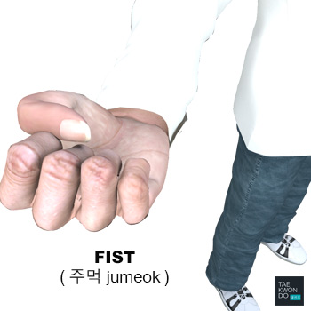 Fist ( 주먹 jumeok )