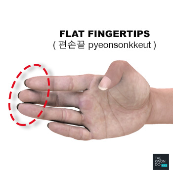 Flat Fingertips ( 편손끝 pyeonsonkkeut )