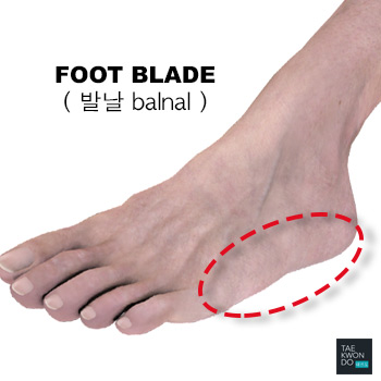 Foot Blade ( 발날 balnal )