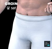 Groin ( 샅 sat )