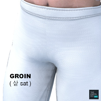 Groin ( 샅 sat )