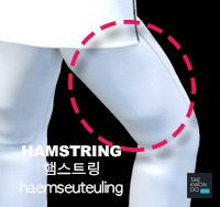 Hamstring ( 햄스트링 haemseuteuling )