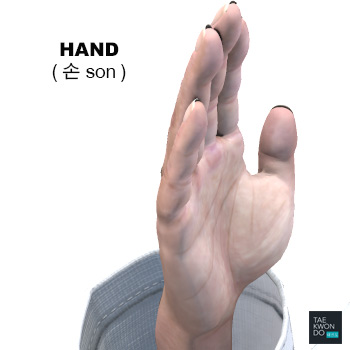 Hand ( 손 son )