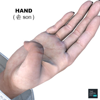 Hand ( 손 son )