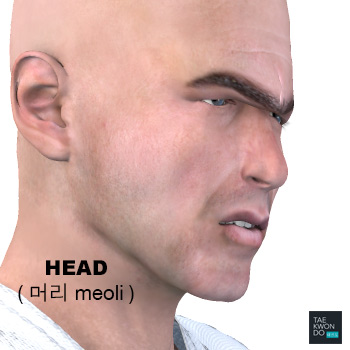 Head ( 머리 meoli )