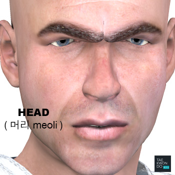 Head ( 머리 meoli )